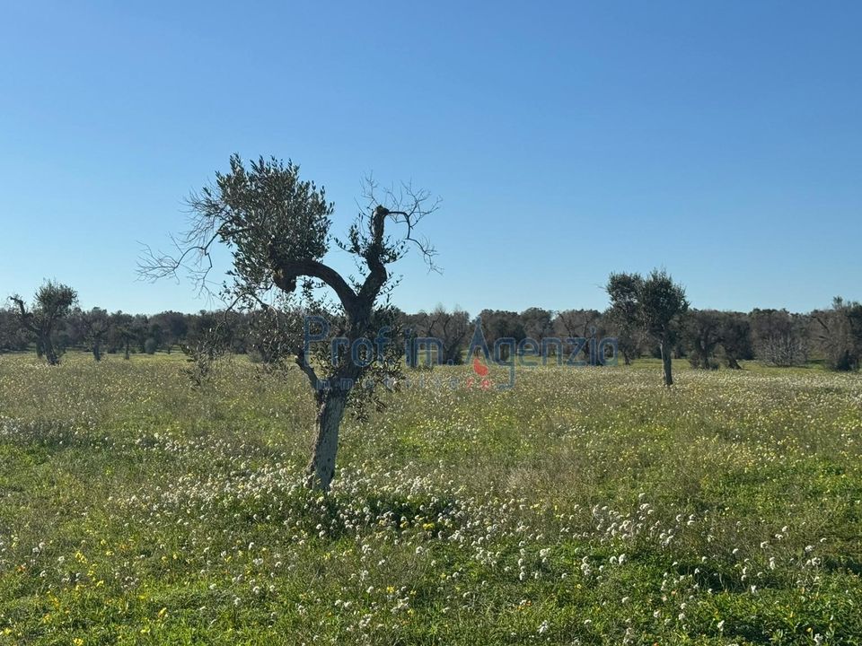 Lejlighed i Carovigno, Brindisi - foto 4